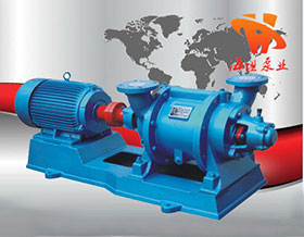 水環式真空泵SZ型